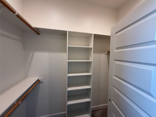 spacious closet with carpet floors