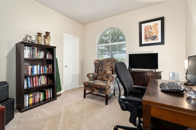 office area featuring light colored carpet