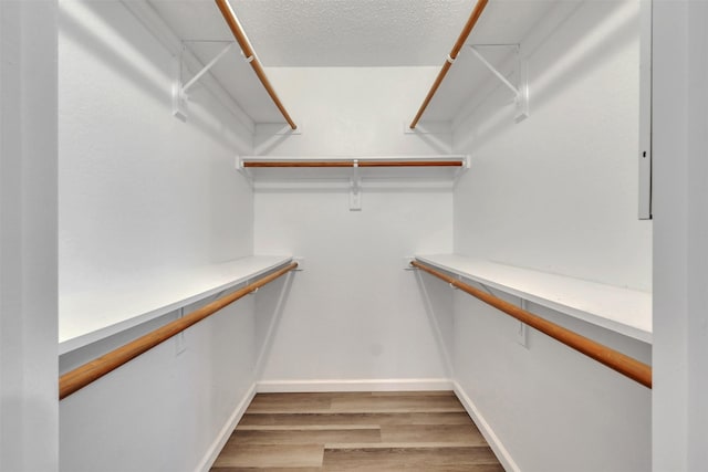 spacious closet with light wood-type flooring