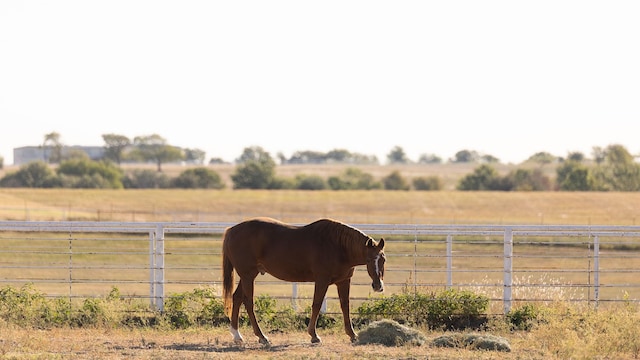 view of stable with a rural view