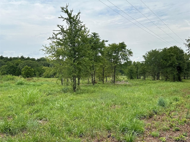 Listing photo 3 for 37.38 Fm-678, Whitesboro TX 76273