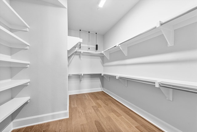 walk in closet featuring light hardwood / wood-style floors