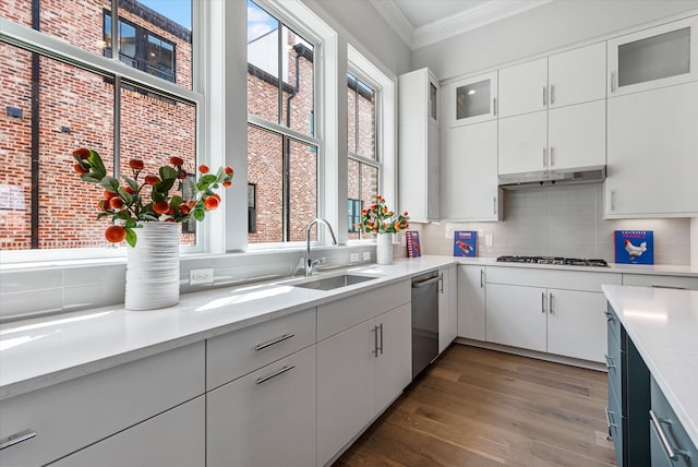 kitchen with white cabinets, a healthy amount of sunlight, dark wood-type flooring, and appliances with stainless steel finishes