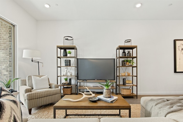 living room featuring hardwood / wood-style floors