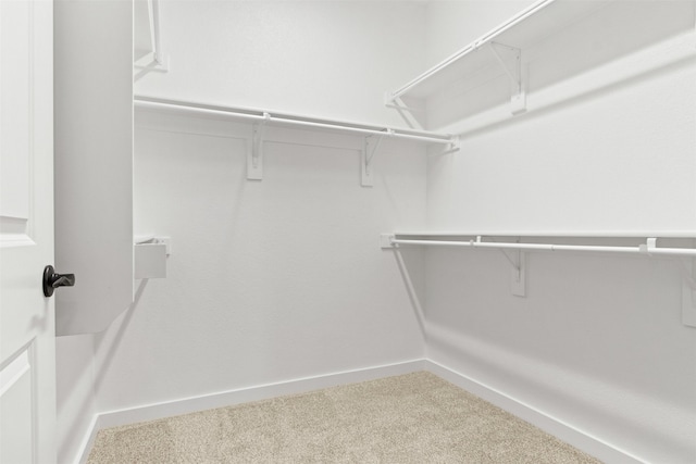 walk in closet featuring carpet flooring