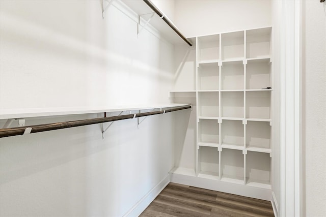 walk in closet featuring dark hardwood / wood-style flooring