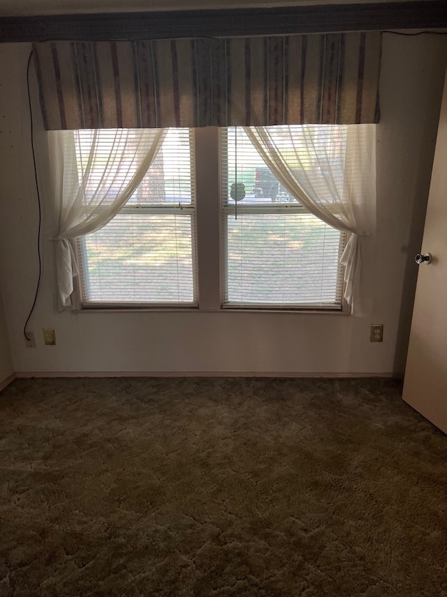 carpeted empty room featuring plenty of natural light