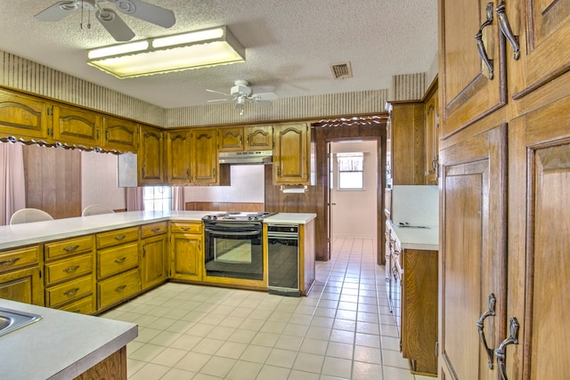 kitchen with plenty of natural light, ceiling fan, and range with electric stovetop