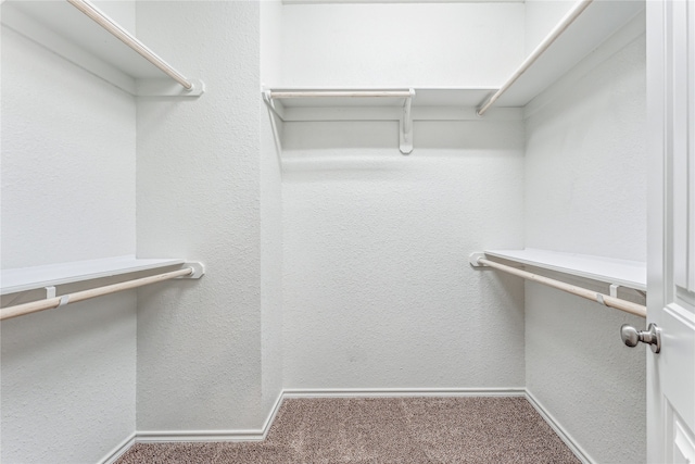 walk in closet with carpet flooring