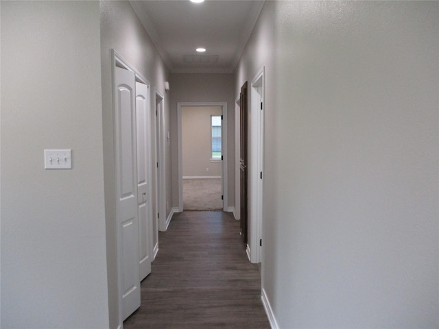 hallway featuring crown molding and dark hardwood / wood-style floors