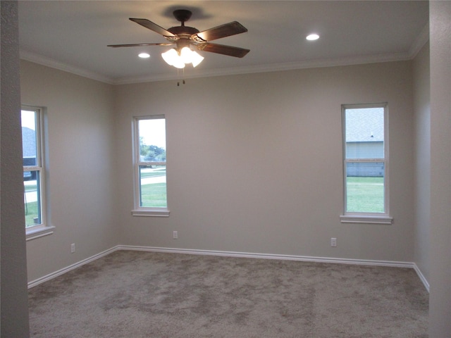 empty room featuring ceiling fan, ornamental molding, and light carpet