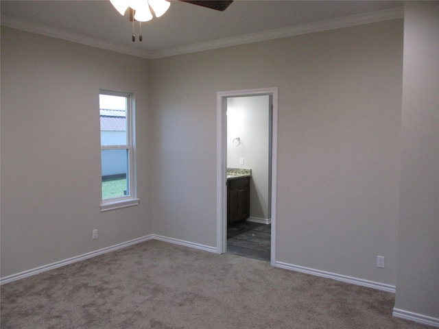 unfurnished bedroom featuring ceiling fan, ornamental molding, ensuite bath, and light carpet