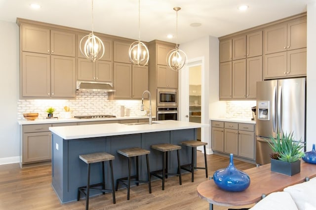 1417 Vermillion Dr, Prosper, TX 75078 - kitchen with a sink, appliances with stainless steel finishes, under cabinet range hood, and wood finished floors