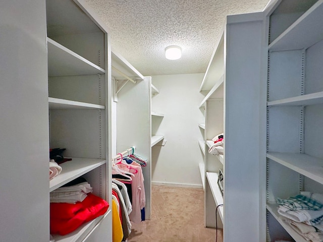 view of walk in closet