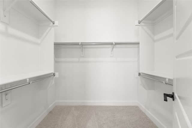 walk in closet with carpet floors