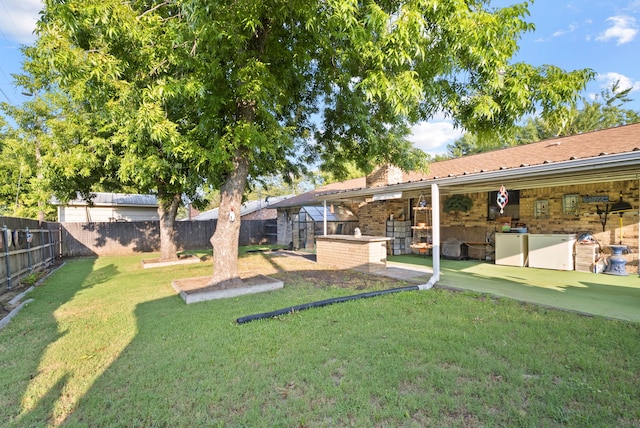 view of yard with an outdoor kitchen