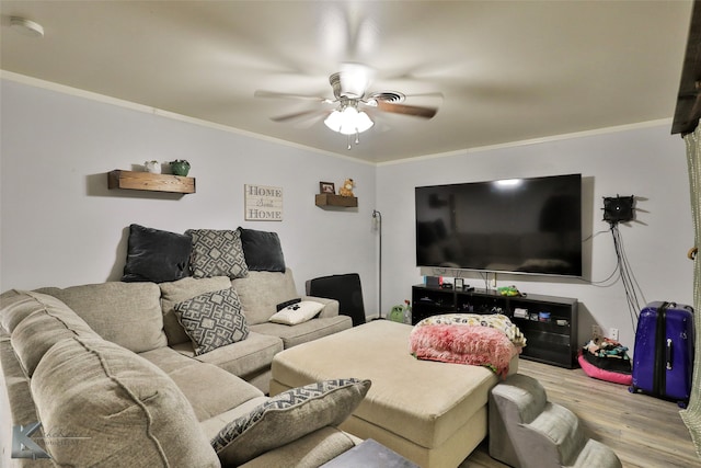 living room featuring ceiling fan, light hardwood / wood-style flooring, and crown molding