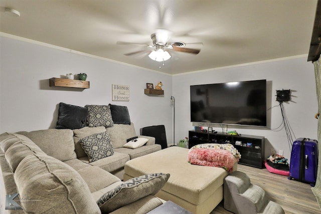 living room with crown molding, ceiling fan, and wood finished floors