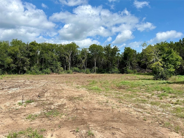 334 Fort Graham Rd, Whitney, TX 76692 - view of wooded area