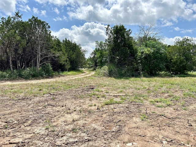 334 Fort Graham Rd, Whitney, TX 76692 - view of local wilderness