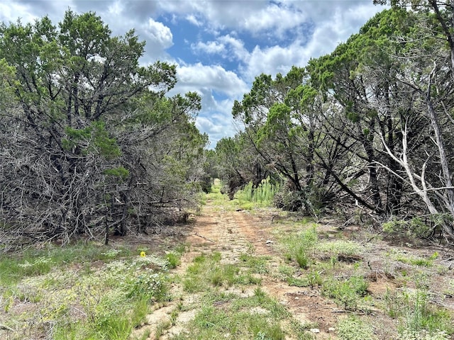 334 Fort Graham Rd, Whitney, TX 76692 - view of undeveloped land