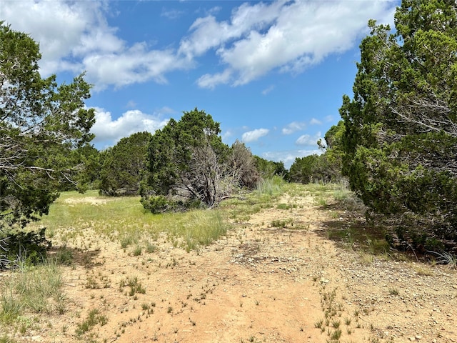 view of local wilderness