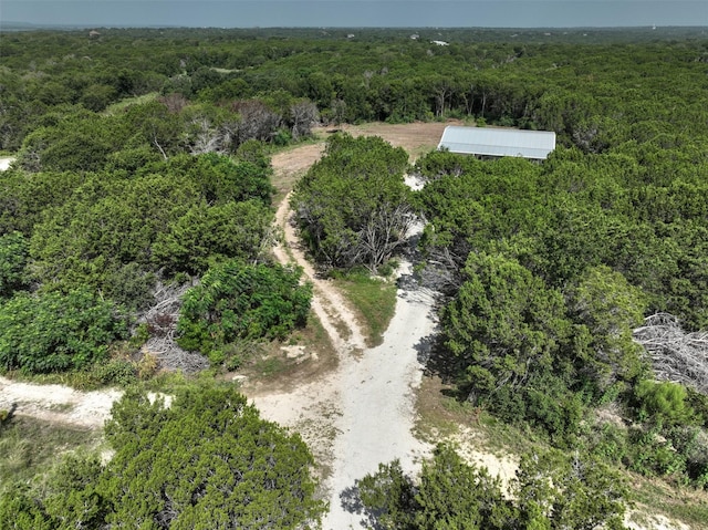 334 Fort Graham Rd, Whitney, TX 76692 - bird's eye view of a forest