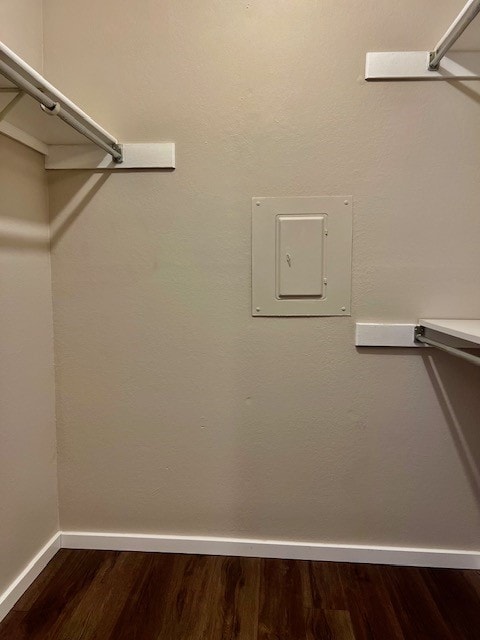 spacious closet featuring electric panel and hardwood / wood-style flooring