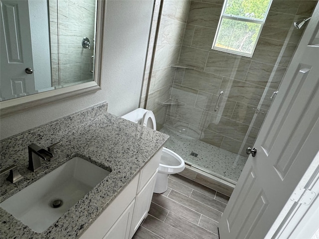 bathroom with vanity, a shower with shower door, and toilet