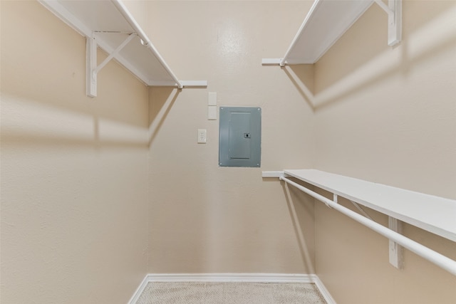 spacious closet with carpet and electric panel