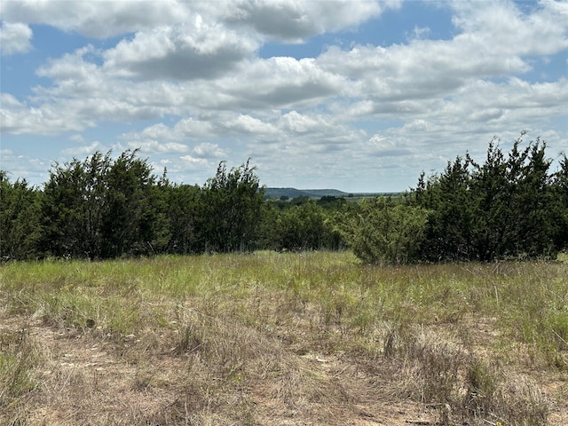 TBD County Road 234, Hico TX, 76457 land for sale