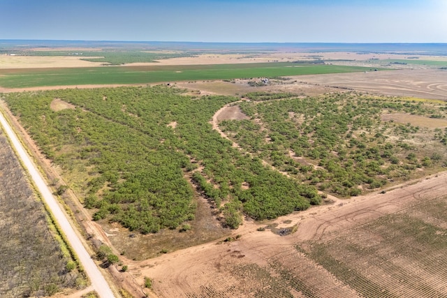 15995 County Road 466, Merkel TX, 79536 land for sale