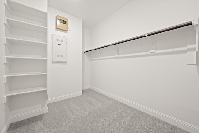 walk in closet with carpet floors