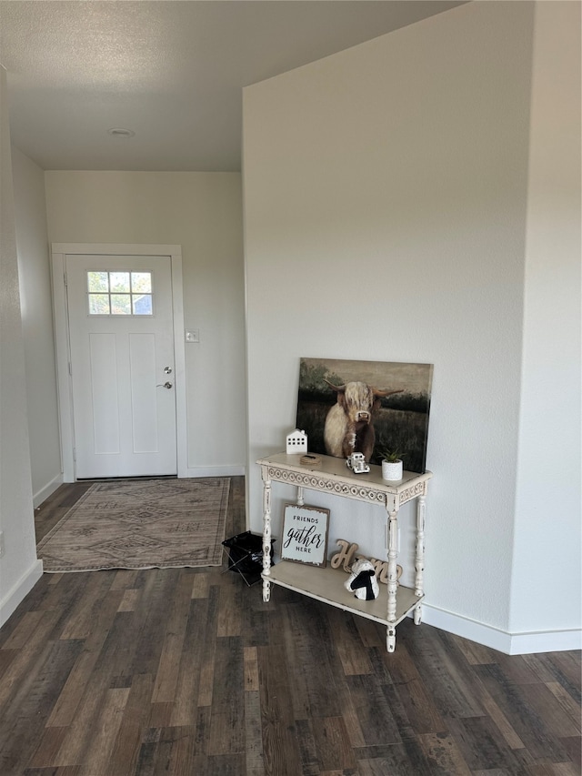 foyer entrance featuring hardwood / wood-style flooring