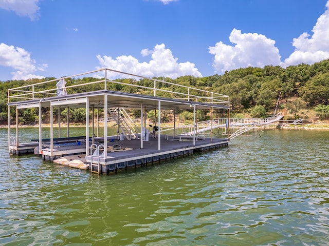 dock area with a water view