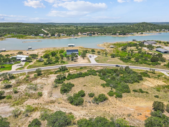 TBD Hidden Shores Dr, Cisco TX, 76437 land for sale