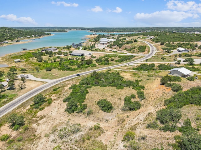 Listing photo 2 for TBD Hidden Shores Dr, Cisco TX 76437