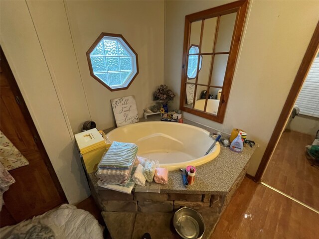 bathroom with wood-type flooring and a bathtub