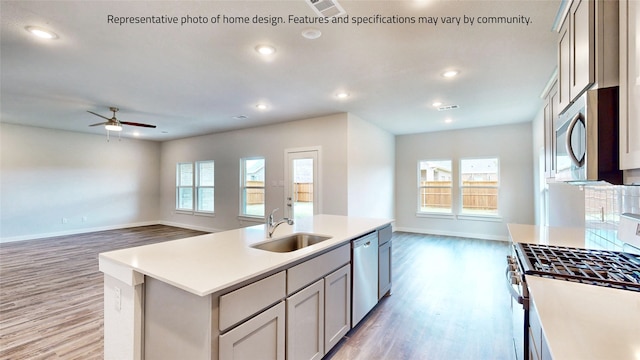 kitchen featuring an island with sink, appliances with stainless steel finishes, light hardwood / wood-style flooring, gray cabinets, and sink