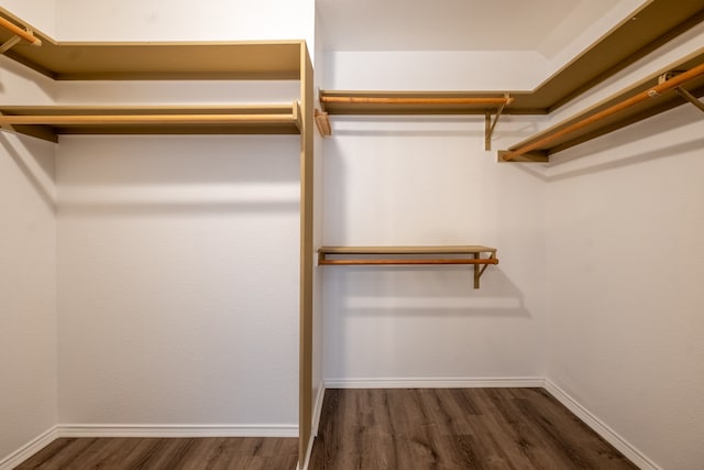 spacious closet featuring dark hardwood / wood-style flooring