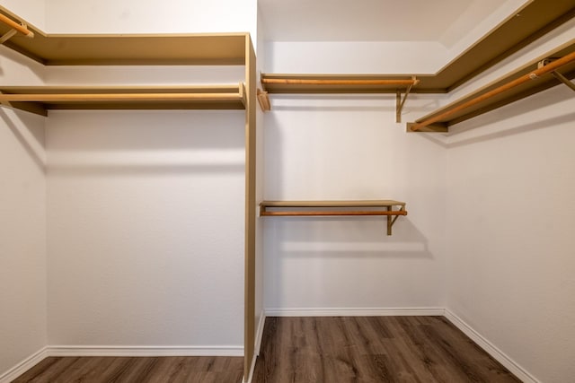 walk in closet with dark wood-type flooring