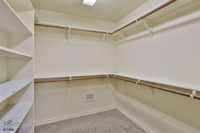 carpeted spare room featuring ceiling fan and ornamental molding