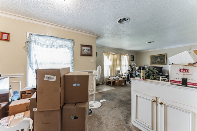 interior space with ornamental molding, carpet floors, and a textured ceiling