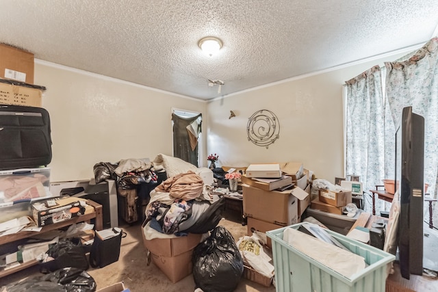 misc room with carpet, crown molding, and a textured ceiling