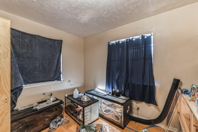 miscellaneous room featuring hardwood / wood-style floors and a textured ceiling