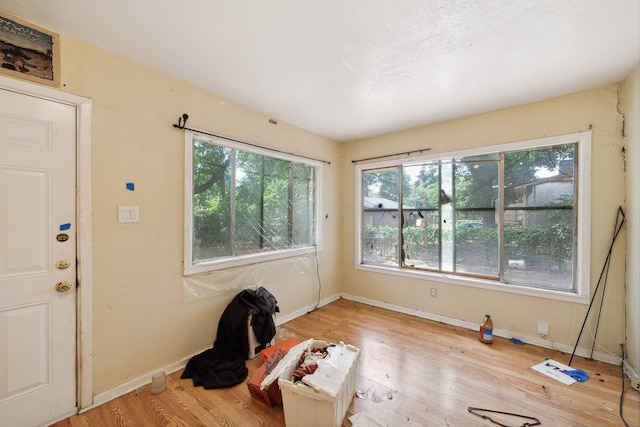 interior space featuring light wood-type flooring