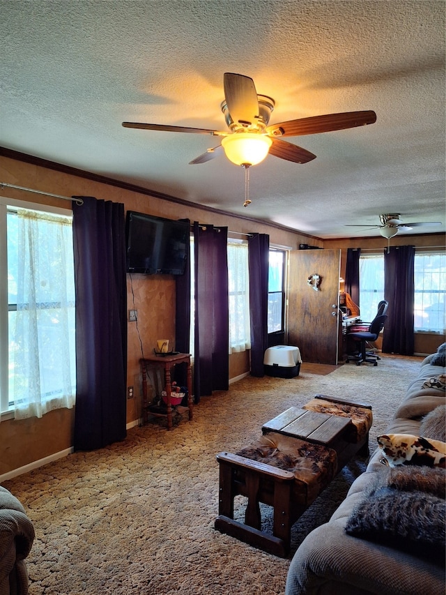 carpeted living room featuring ceiling fan and a textured ceiling