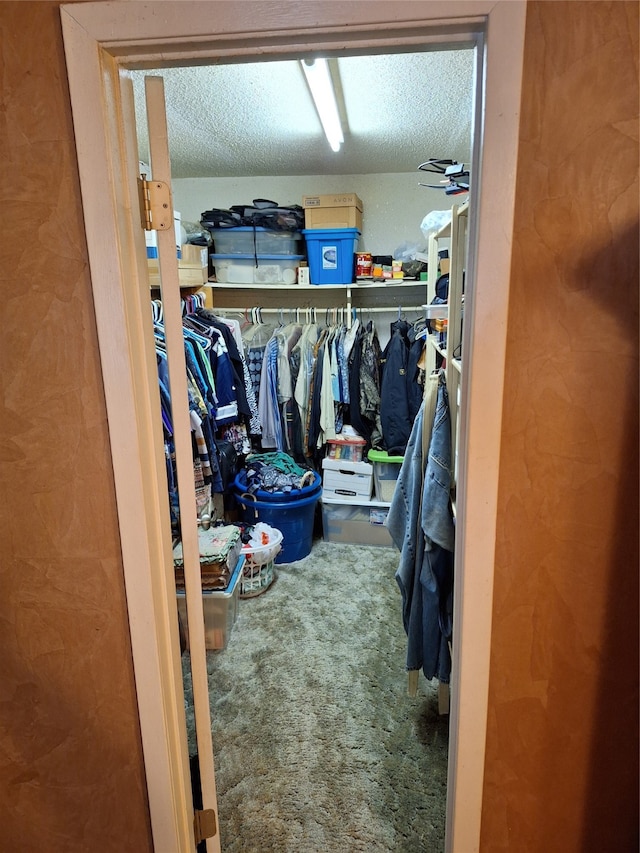 walk in closet featuring carpet flooring