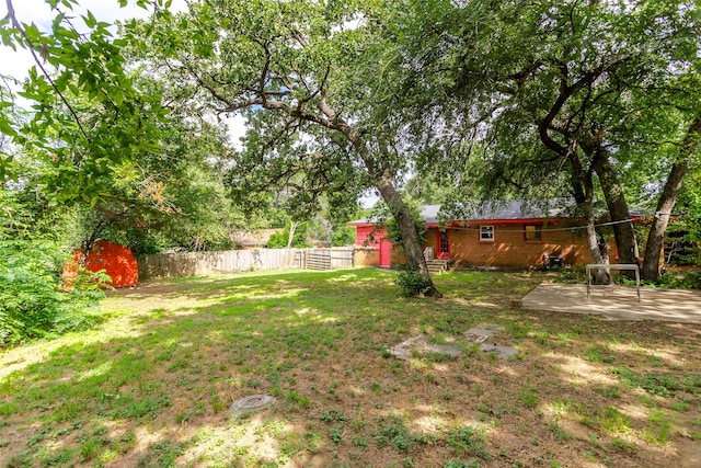 view of yard featuring a patio and a storage shed