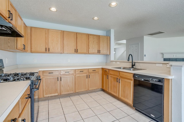 kitchen with sink, kitchen peninsula, range with gas cooktop, and dishwasher